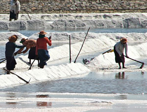 Salt Industry