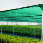 Green Agro Shed Net for Optimal Crop Protection