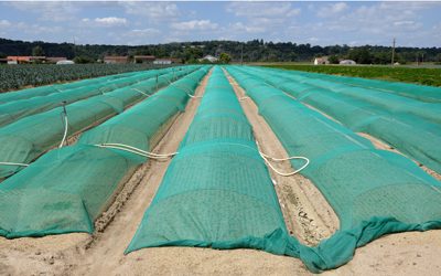 Agro Shade Nets Agro Shade Nets